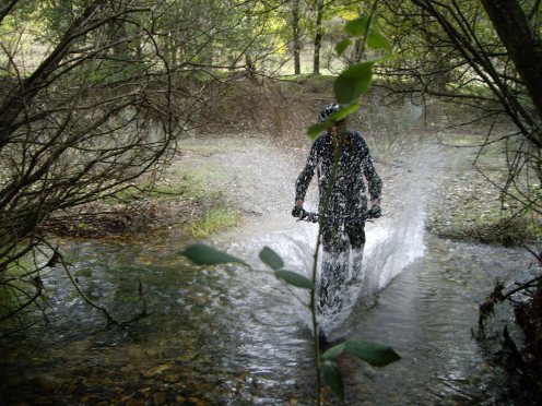 My beautiful picture