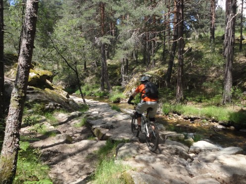 a la altura de la boca del asno