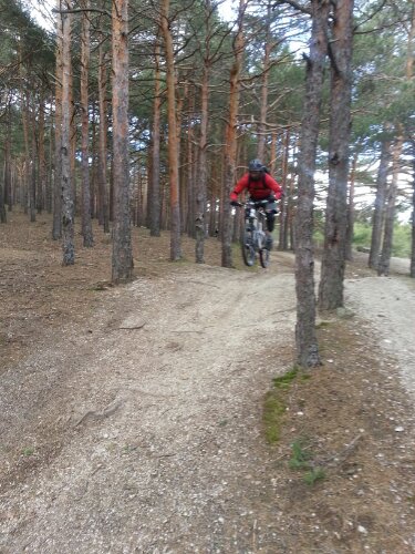 20130406_113757.jpg image