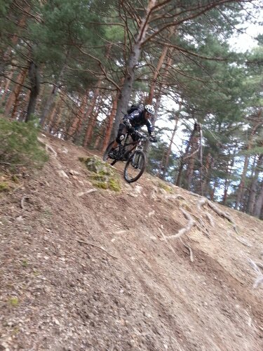 20130406_120157.jpg image