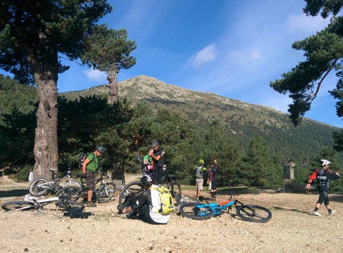 wp-1413105185000 image