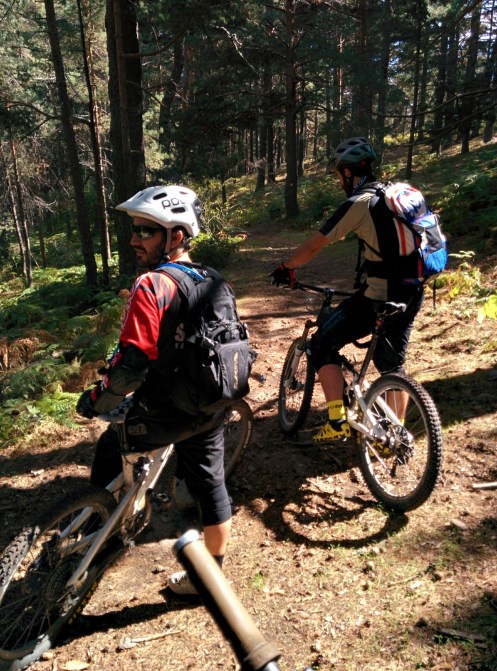 wp-1413307426878 image