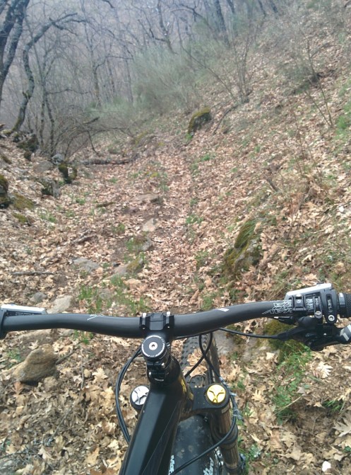 IMG_20150403_193808.jpg image