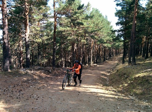 IMG_20150821_112023.jpg image