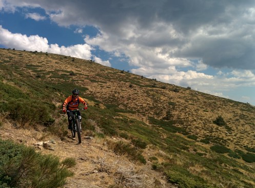 IMG_20150821_123357.jpg image