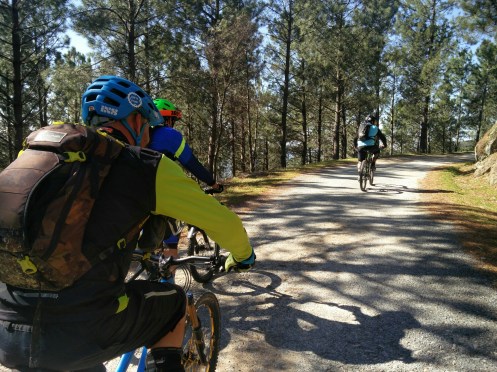 IMG_20160323_105821.jpg image