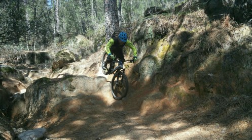 IMG_20160323_134344~01~01.jpg image